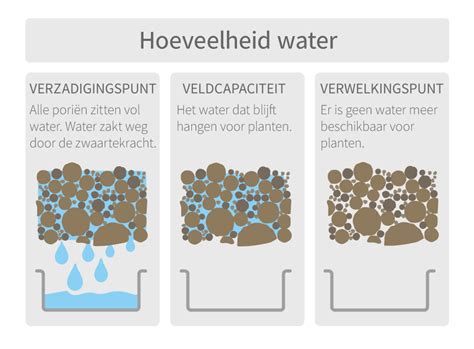 De relatie tussen bodemtype en bewatering