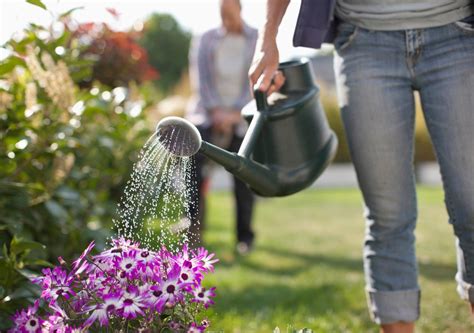 Effectieve bewateringstips voor containerplanten