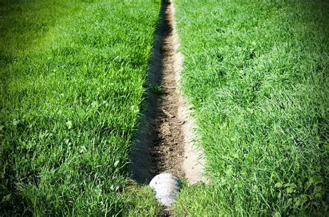 Het belang van goede drainage bij bewatering