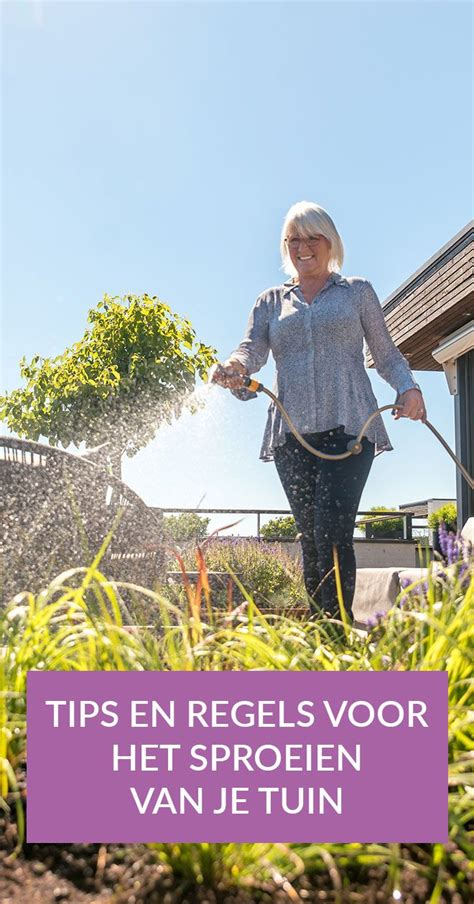 Hoe bewater je planten tijdens droge en warme periodes?