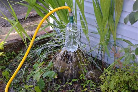 Hoe vaak moet je je tuin bewateren in de zomer?