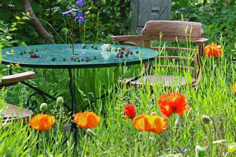 Milieuvriendelijke bewateringstechnieken voor je tuin